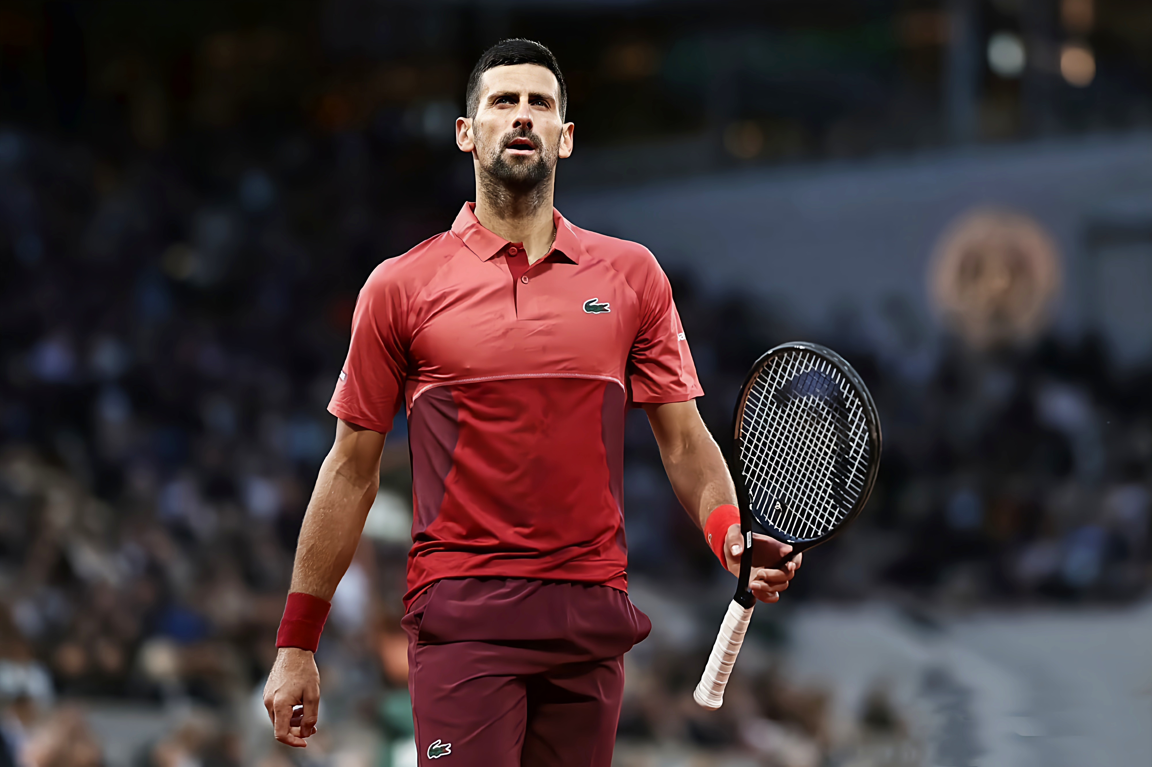 澳网碾压蒙特卡洛大师赛,德约科维奇高光表现 澳网碾压蒙特卡洛大师赛,德约科维奇高光表现