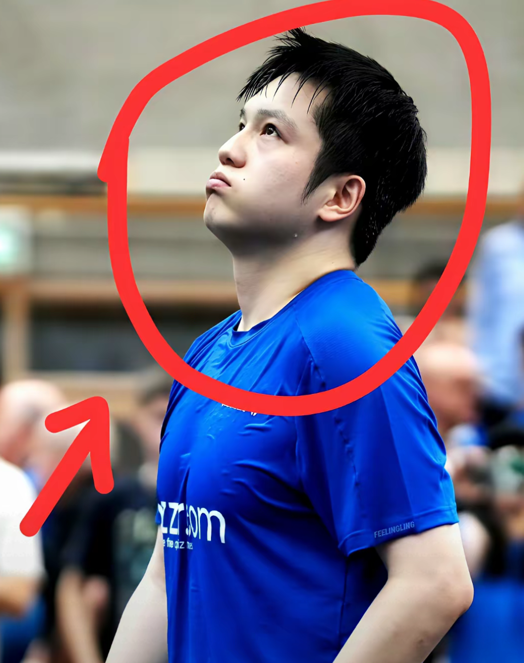 葡萄牙队横扫波兰队,樊振东关键制胜 葡萄牙队横扫波兰队,樊振东关键制胜