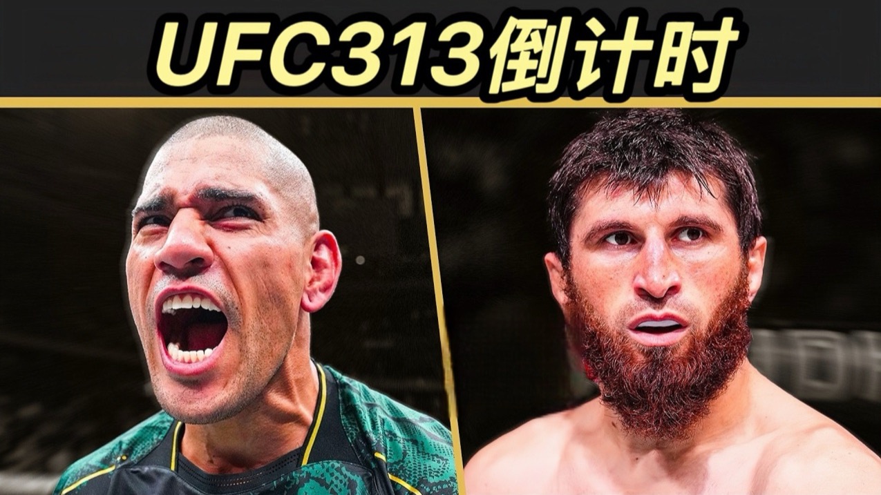 ATP总决赛横扫拉沃尔杯，穆雷扛起全队