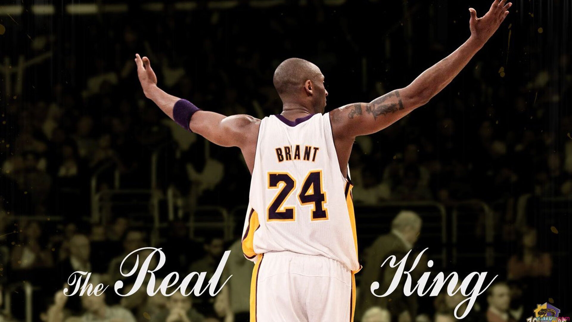 突尼斯终场绝杀韩国,门迪,大舞台上的巨人觉醒