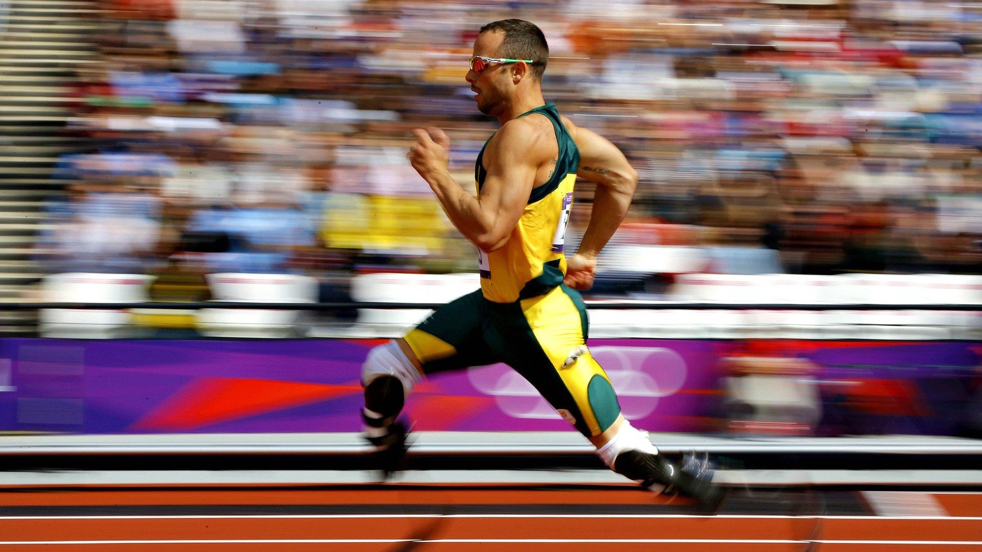 联合杯完胜美网?梅德韦杰夫刷新纪录背后的网球新格局